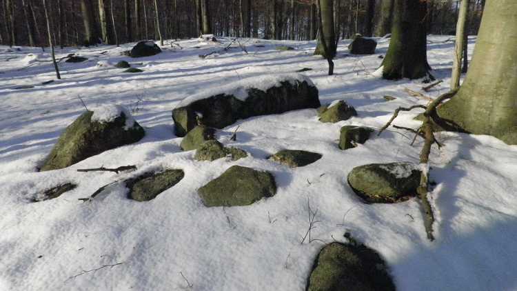 Illebølle Skov Stenkiste