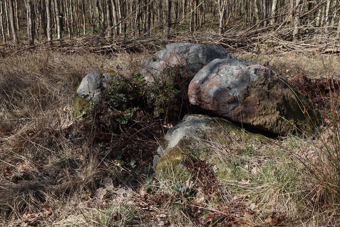Storskov Runddysse 1