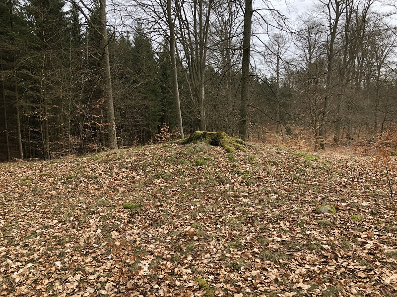 Horserød Hegn Rundhøj