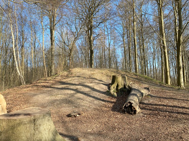Trørød Skov Rundhøj 8