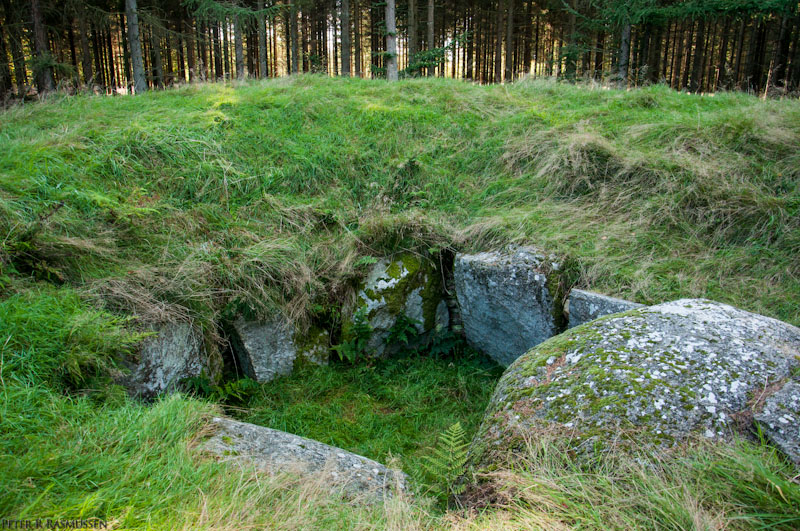 Lindet Skov Røverkulen Jættestue