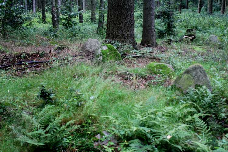 Flintinge Byskov Langdysse 3