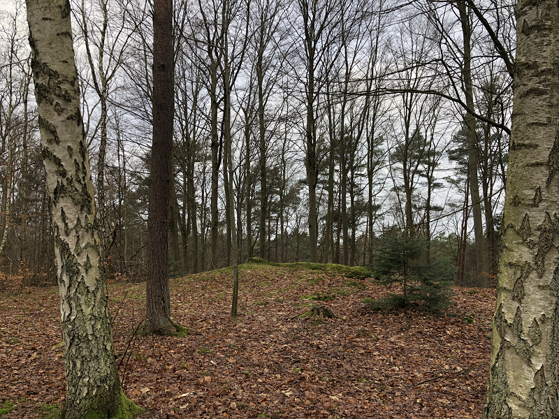Hornbæk Plantage Rundhøj 4