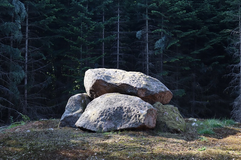 Kårupvænge Skov Runddysse