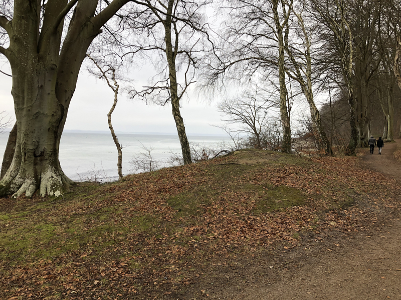 Hornbæk Plantage Rundhøj 9