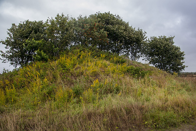 Click for the gallery page to add comments and vote (PID:111038) Sønder Bøel Jættestue