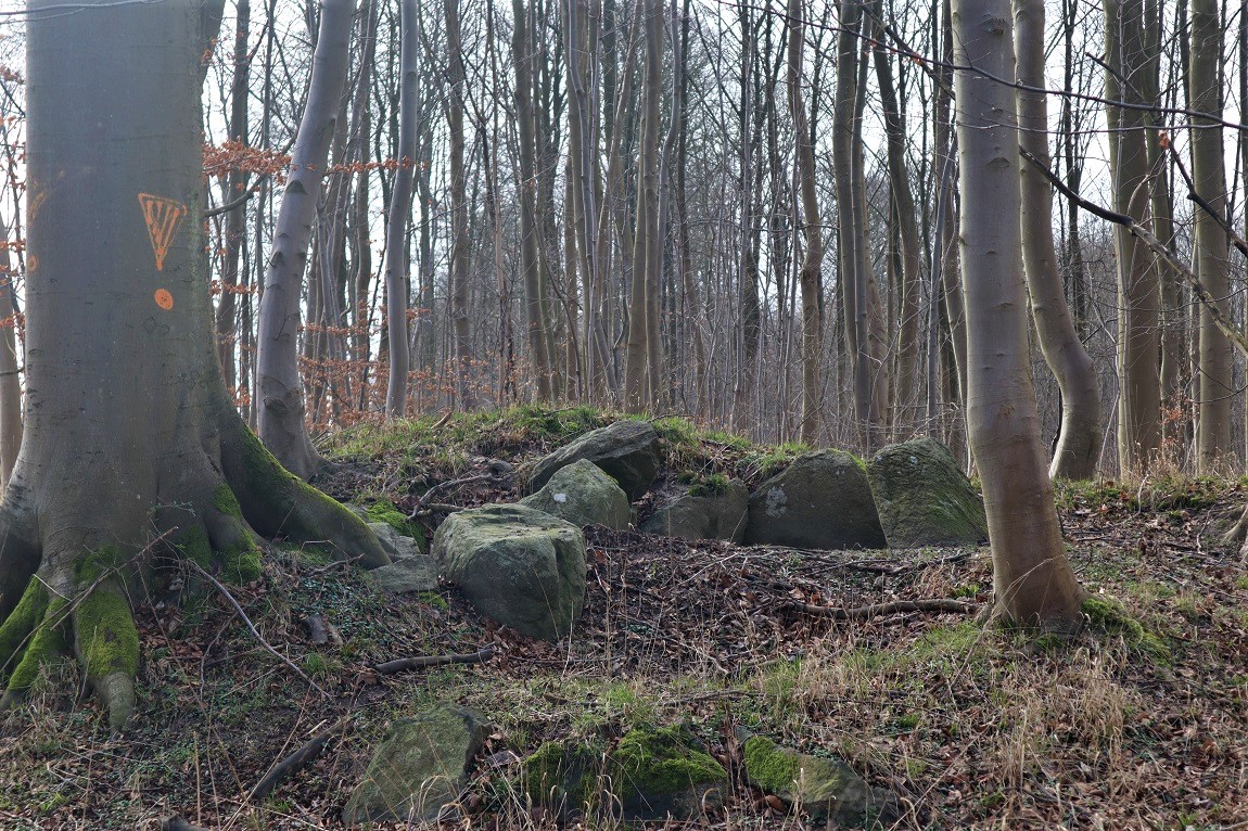 Click for the gallery page to add comments and vote (PID:208846) Bønsvig Hovedskov Jættestue