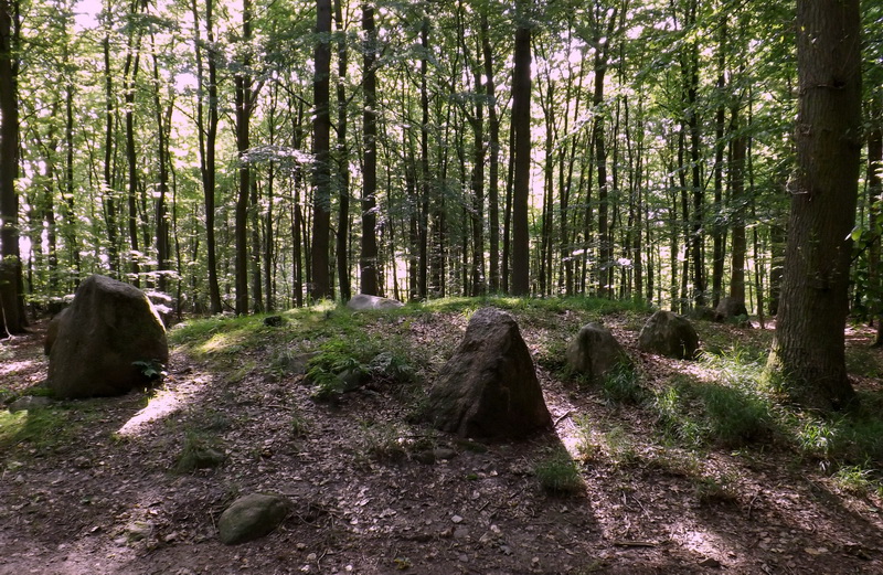 Tokkekøb Hegn Langdysse 3