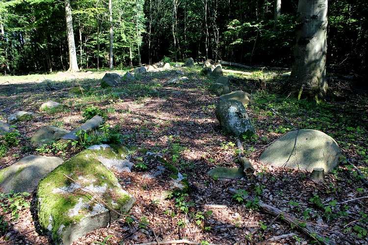 Frejlev Skov Langdysse 1