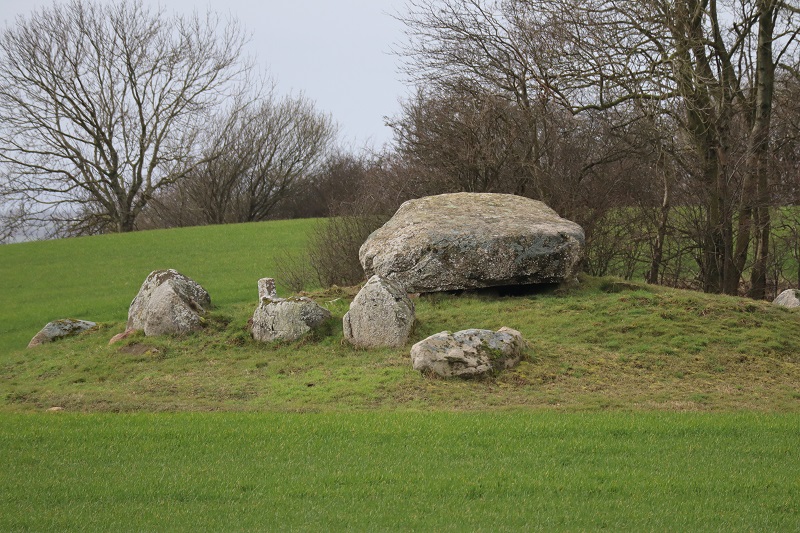 Agri Grovlegård Runddysse