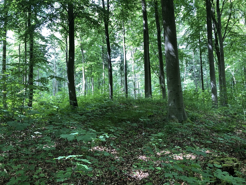Folehaven Rundhøj 3