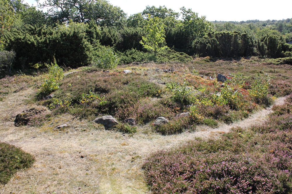 Click for the gallery page to add comments and vote (PID:157819) Knægten-Munkegaard Rundhøj