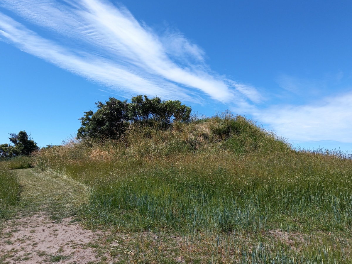 Click for the gallery page to add comments and vote (PID:229108) Kongshøj Sejerø