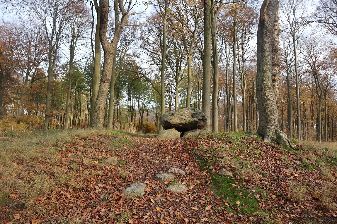Korsør Skov Runddysse