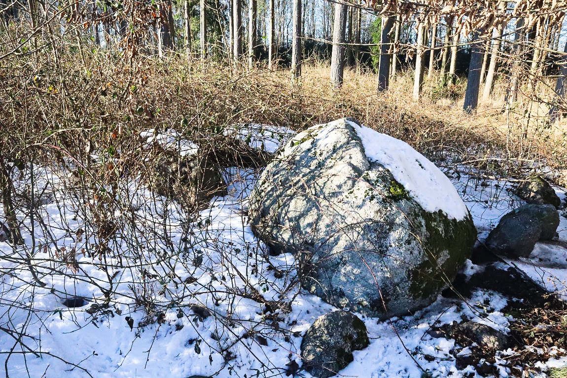 Click for the gallery page to add comments and vote (PID:223860) Rykkerup Skov Langdysse 2