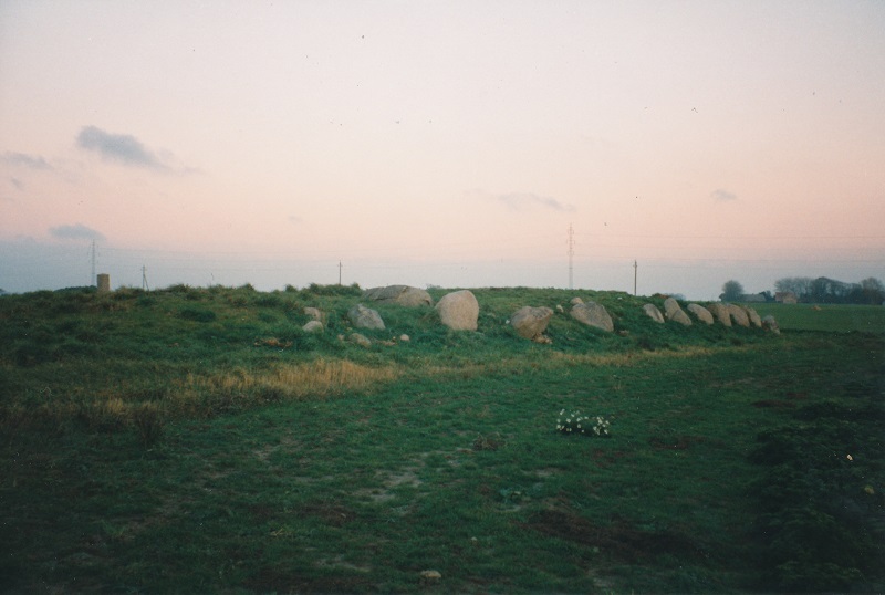 Click for the gallery page to add comments and vote (PID:199846) Niels Hols Høj Langdysse