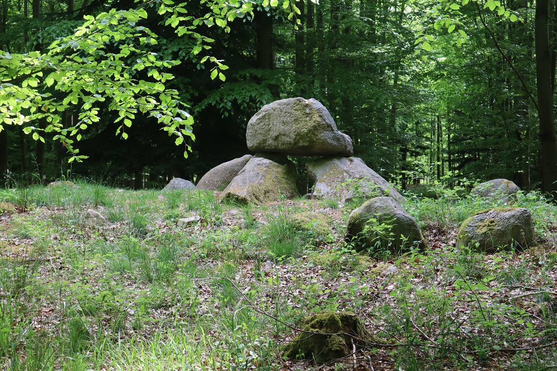 Ringelmose Skov Langdysse 2