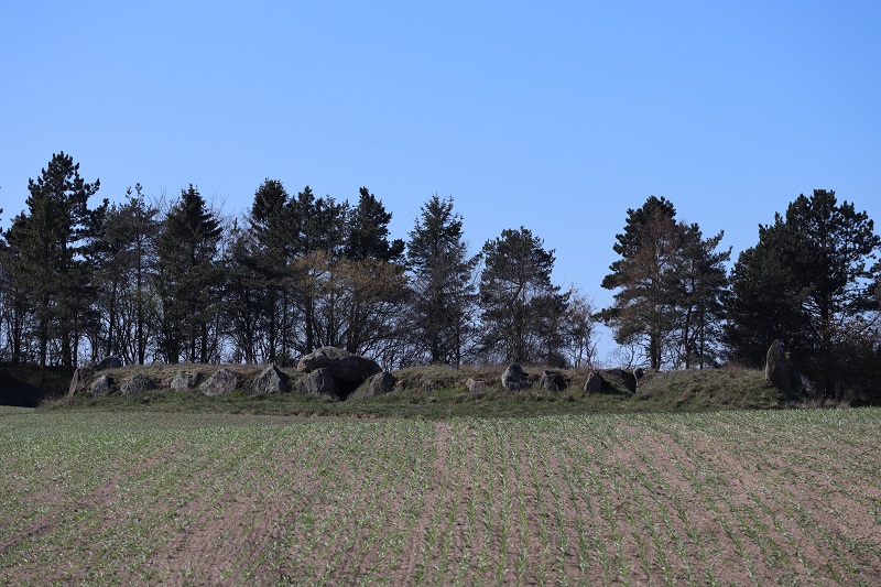 Ildbjerg Langdysse