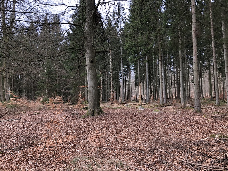 Horserød Hegn Langdysse 6