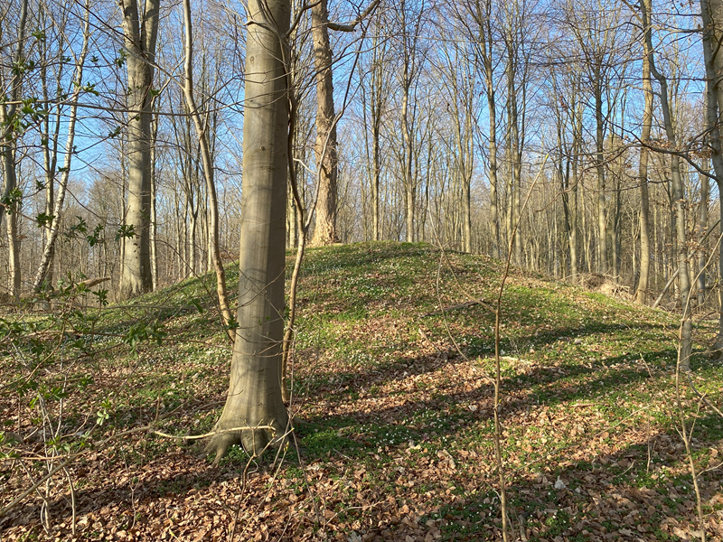 Trørød Skov Rundhøj 7