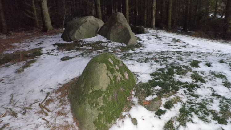 Click for the gallery page to add comments and vote (PID:72002) Pipstorn Skov Langdysse 2
