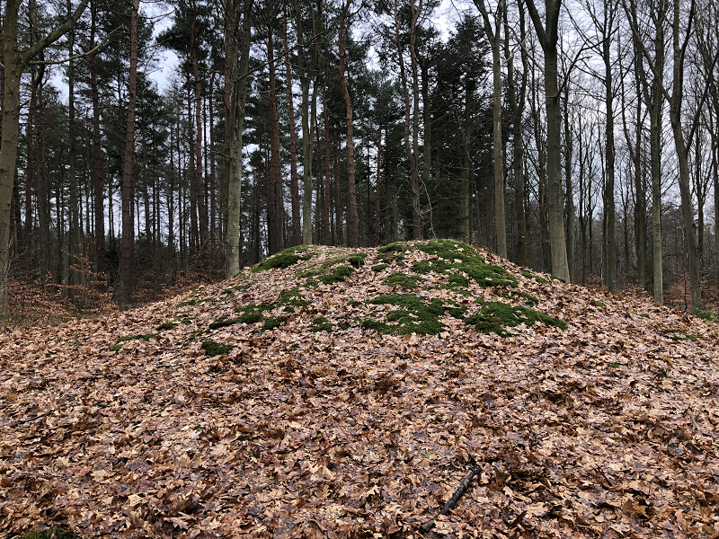 Hornbæk Plantage Rundhøj 5