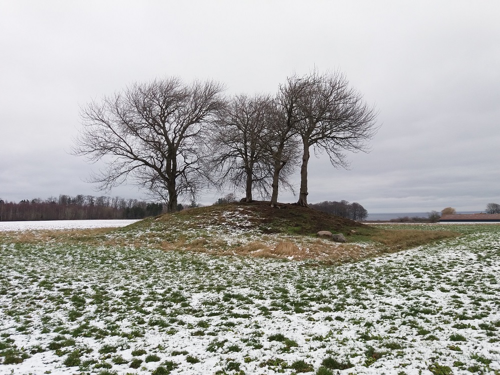 Click for the gallery page to add comments and vote (PID:193345) Skovholm Rundhøj