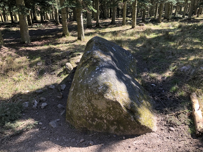 Næsbyholm Skåltegn 2
