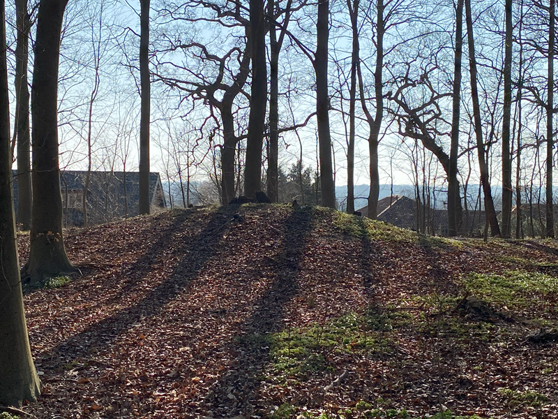 Trørød Skov Rundhøj 6