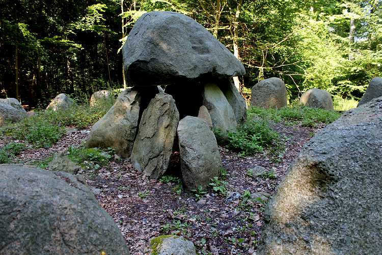 Frejlev Skov Runddysse 4
