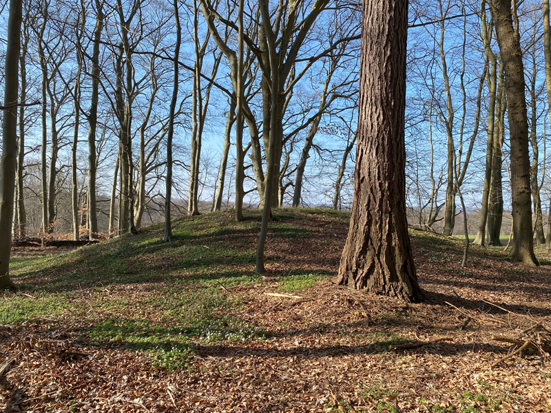 Jægersborg Hegn Rundhøj 3
