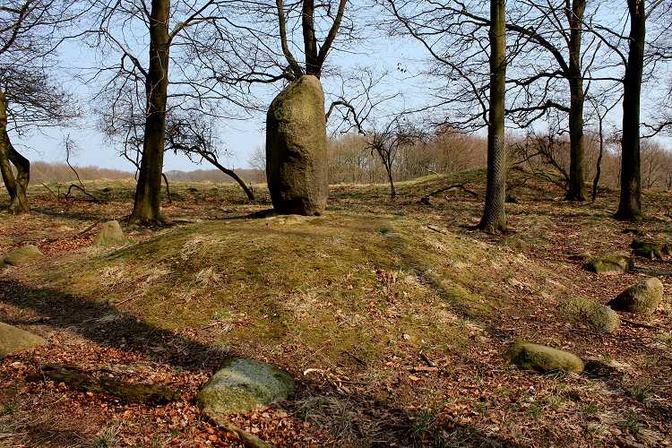 Click for full size image of Den Skandinaviske sten (PID:76020) Den Skandinaviske sten