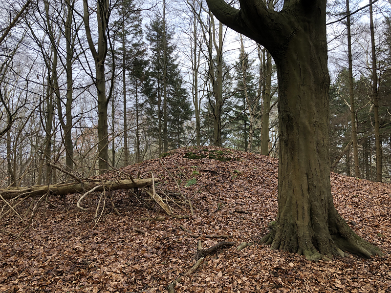 Hornbæk Plantage Rundhøj 6