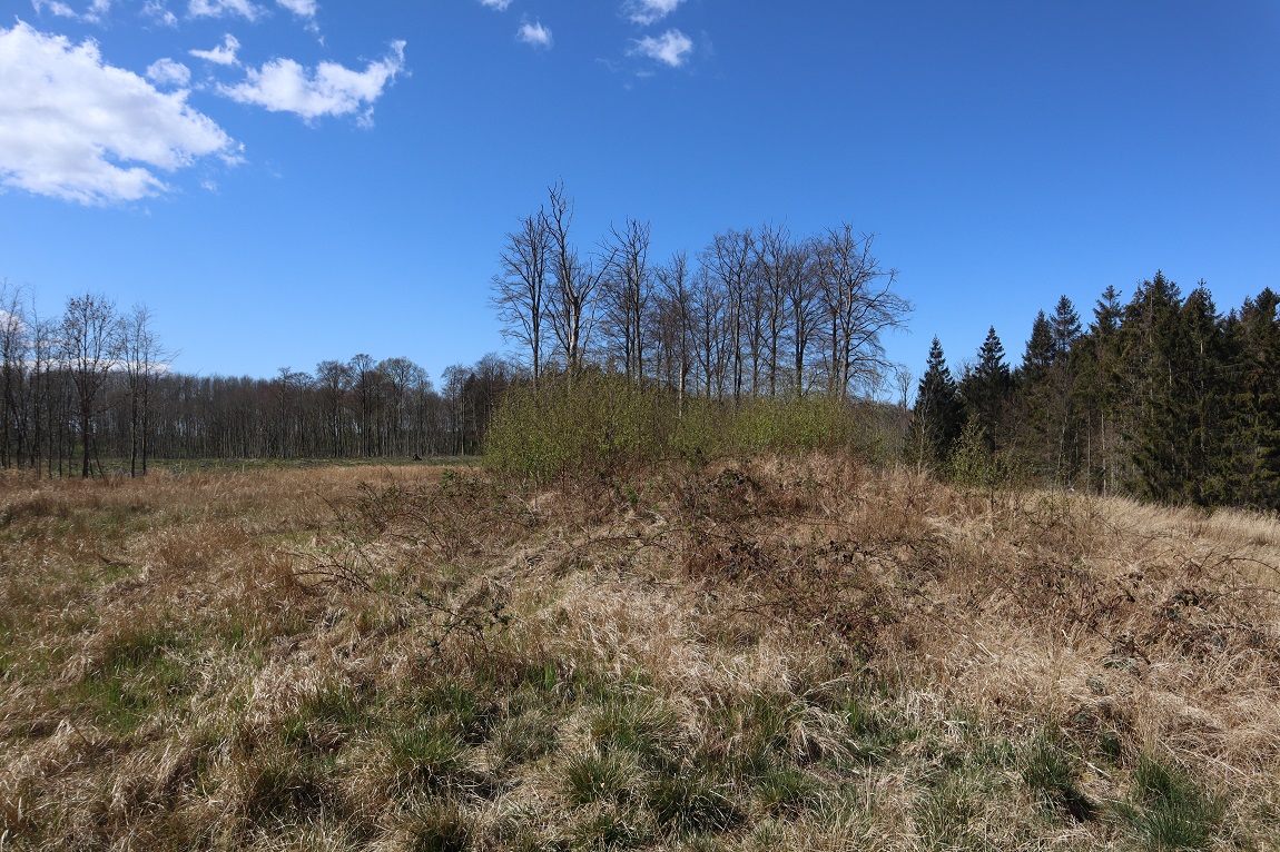 Marienborg Nylukke Skov Langdysse 2