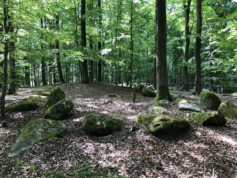 Charlottedal Skov Langdysse 2