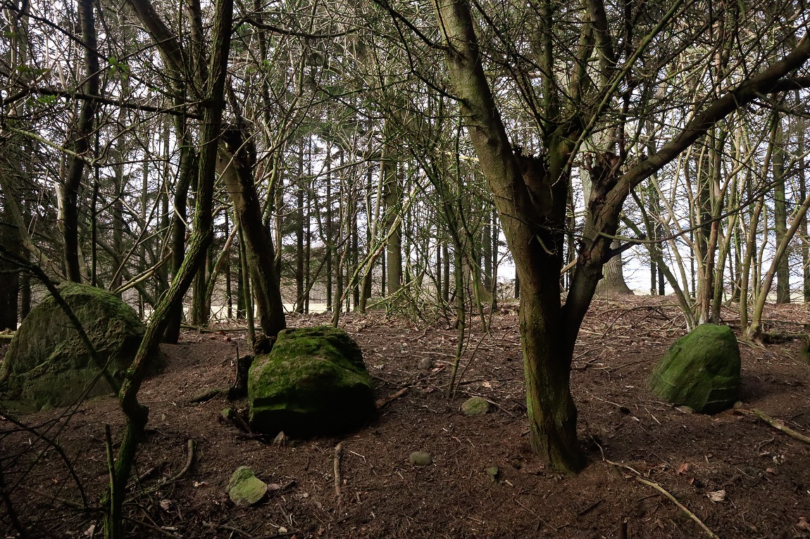 Click for the gallery page to add comments and vote (PID:228913) Leestrup Langdysse