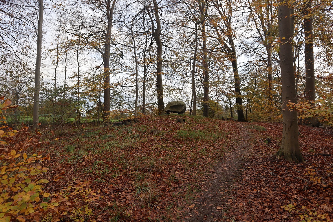 Vintersbølle Skov Runddysse