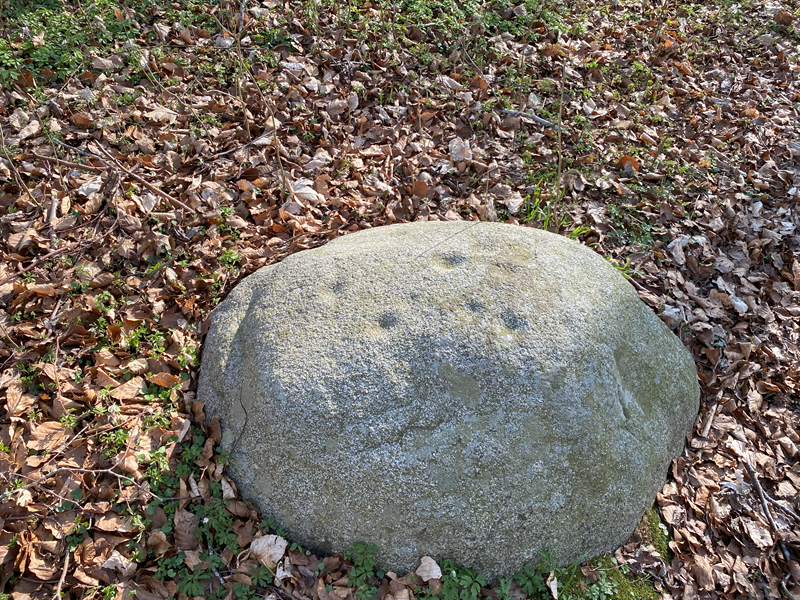 Trørød Skålsten 1
