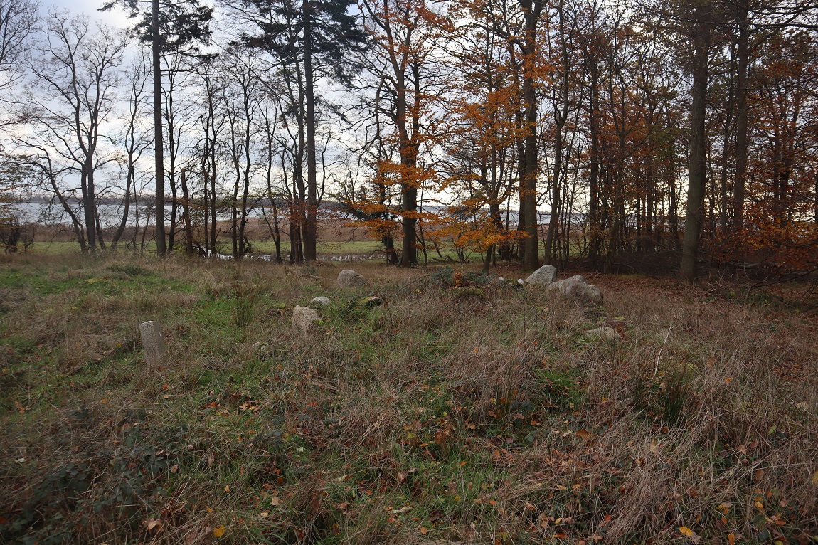 Stensby Skov Afd.11 Langdysse