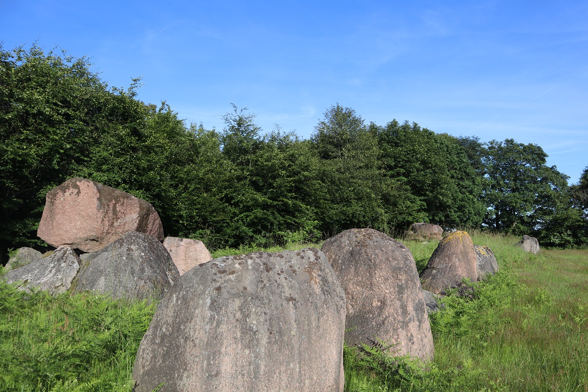 Lindeskov Hestehave Langdysse 1