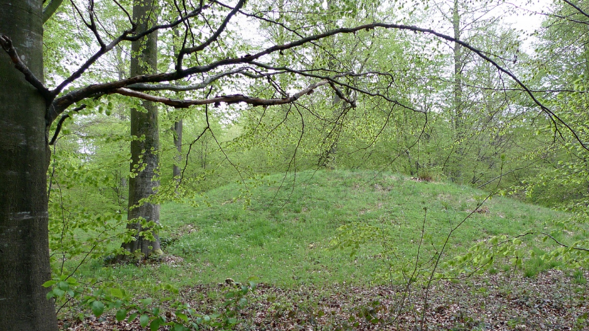 Lambjerg Indtægt Rundhøj 4