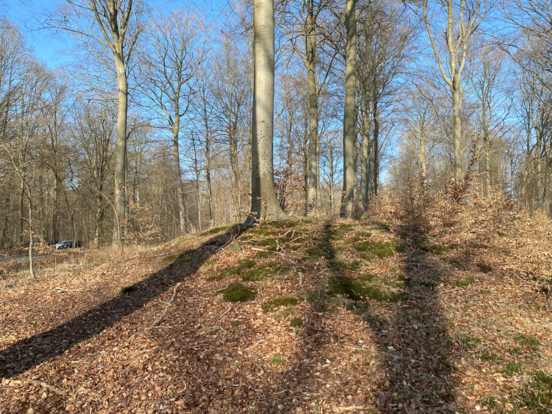 Trørød Skov Rundhøj 5