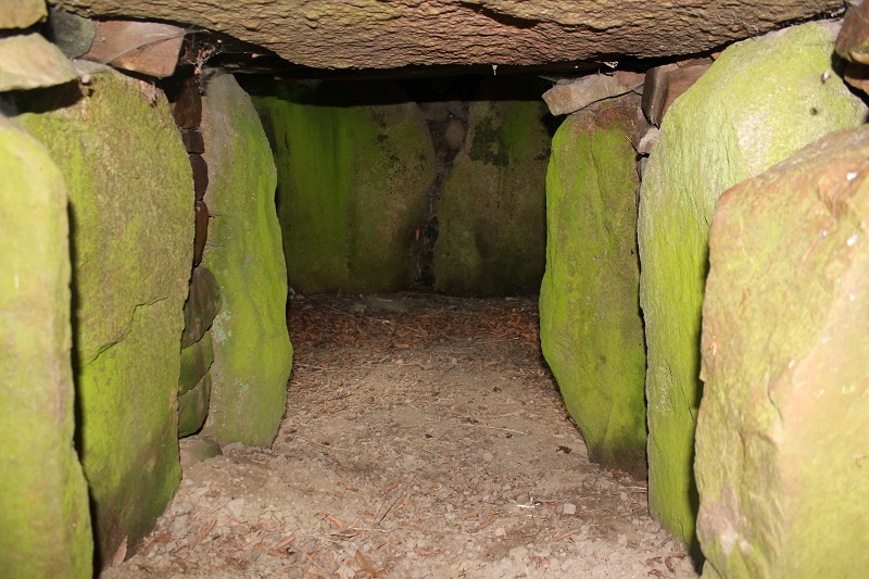 Click for the gallery page to add comments and vote (PID:132776) Tornegård Lundestenen Jættestue