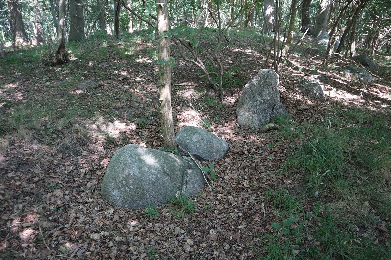 Nakskov Ladegård Langdysse