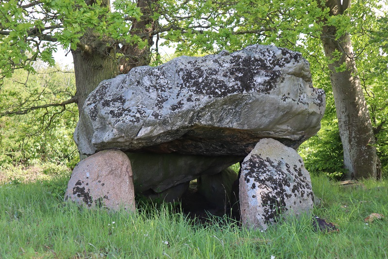 Nøbbet Vesterskov Runddysse