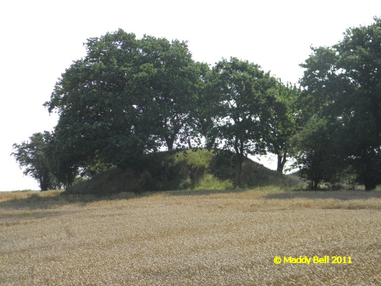 Click for the gallery page to add comments and vote (PID:84156) Glentehøj (Birket)