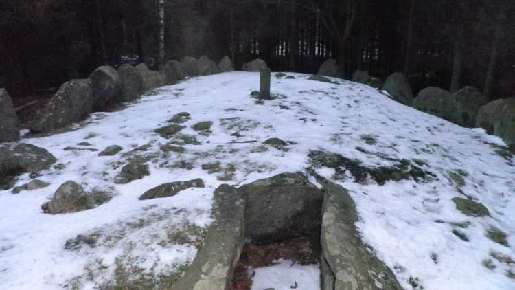 Click for the gallery page to add comments and vote (PID:71993) Pipstorn Skov Langdysse 3