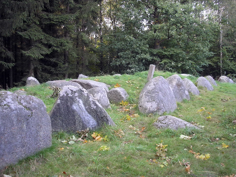 Rye Skov Langdysse
