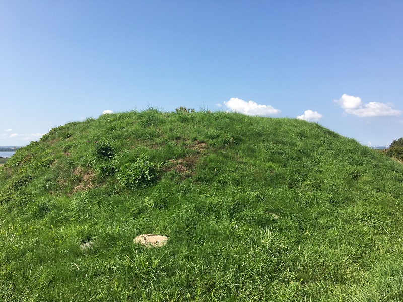 Mastehøi (Roskilde)