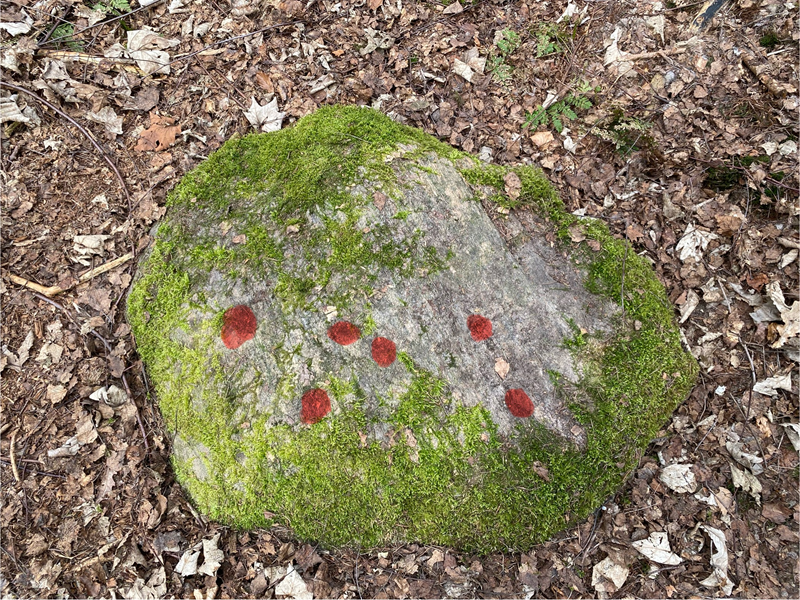 Geel Skov Skåltegn 4